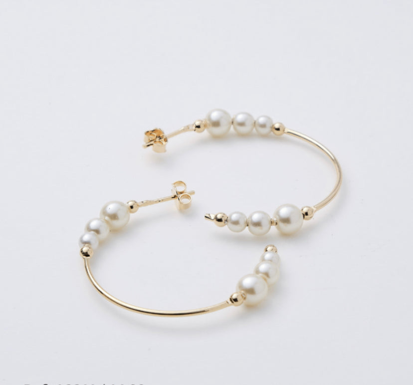 Moon Earring